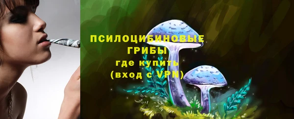 ешки Балахна