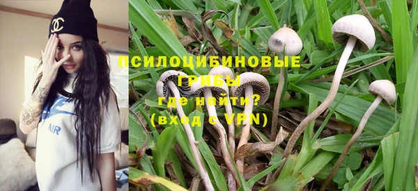 ешки Балахна
