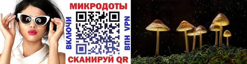 Галлюциногенные грибы мицелий  маркетплейс Telegram  Зеленоградск 